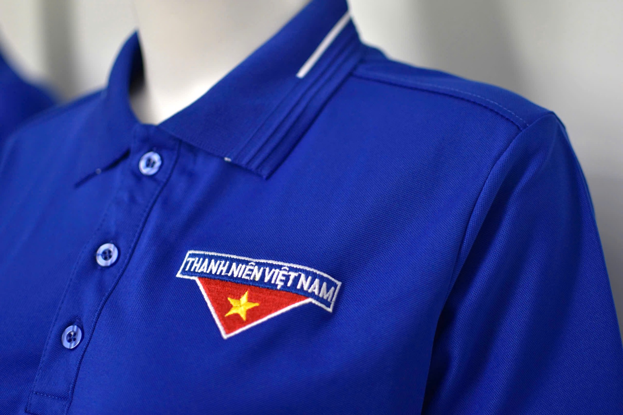 Bâu dệt Vi tính